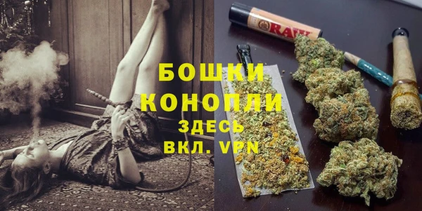 эйфоретик Богородск