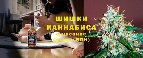 эйфоретик Богородск