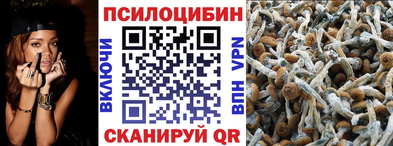 Псилоцибиновые грибы Cubensis  что такое наркотик  Малоярославец 